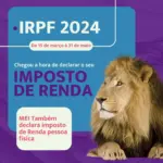 MEI precisa declarar imposto de renda Pessoa Física?
